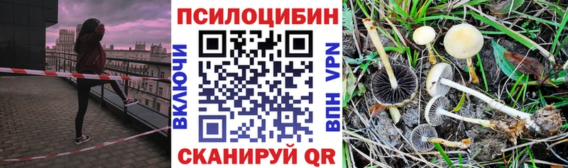 где можно купить наркотик Ленинск-Кузнецкий Псилоцибиновые грибы GOLDEN TEACHER